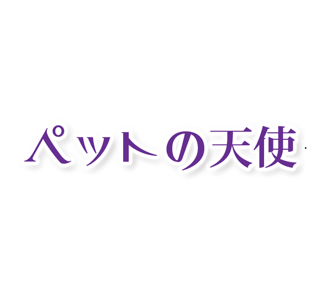 ペットの天使