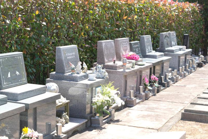 総合ペット葬儀 ポチ・たま霊園