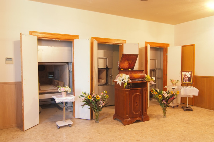 ペットエンジェルゲイト青葉