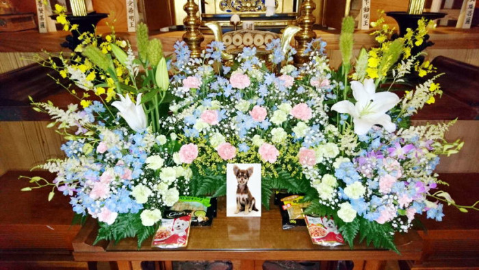 妙輪寺のペット葬