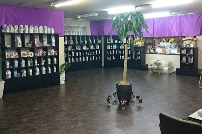 プレシャスコーポレーション