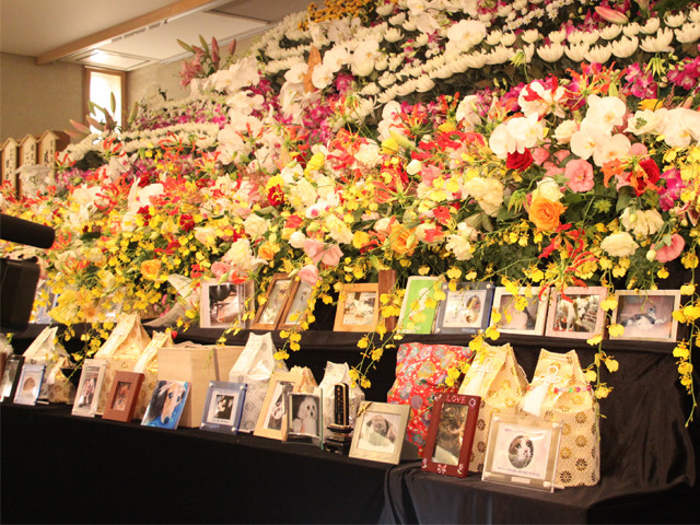 ペットセレモニーリード