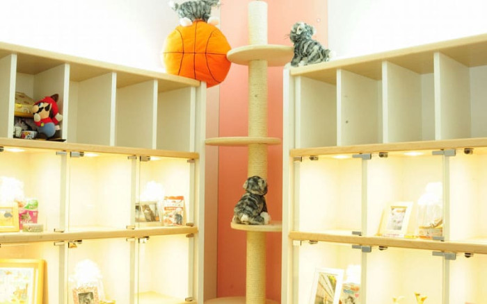 キャットPaPa＆ペットPaPa 杉並・世田谷