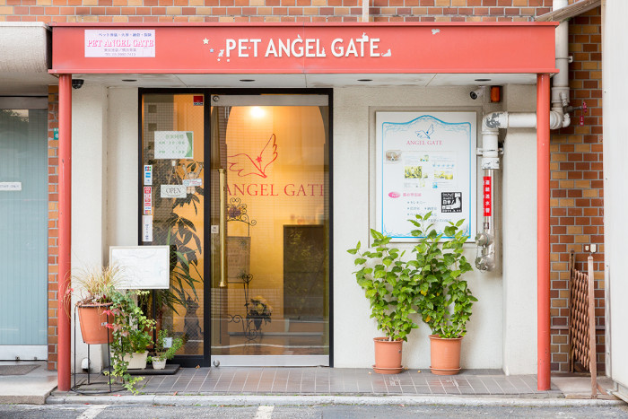 ペット エンジェル ゲイト東京池袋