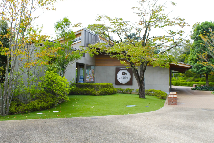 Cafeアゼリア