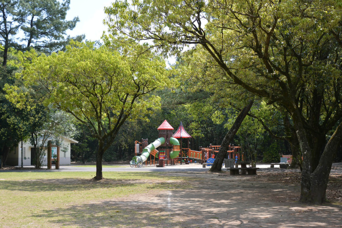 阿波岐原森林公園市民の森