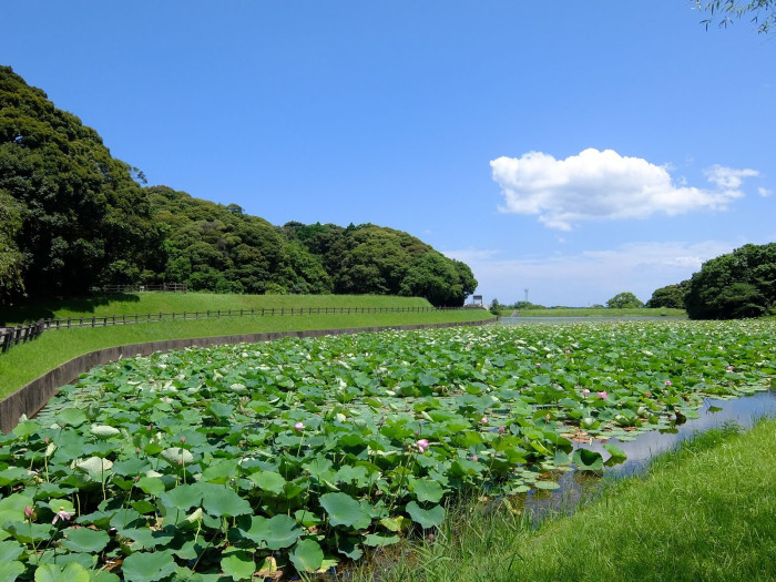 蓮ヶ池史跡公園