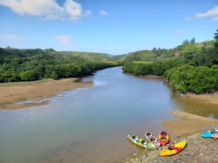 東村ふれあいヒルギ公園