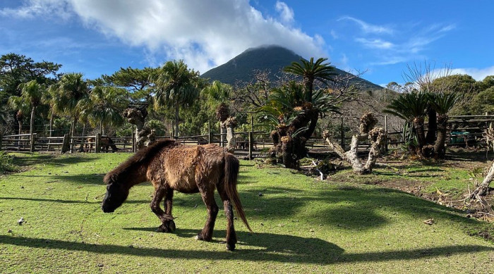 開聞山麓自然公園