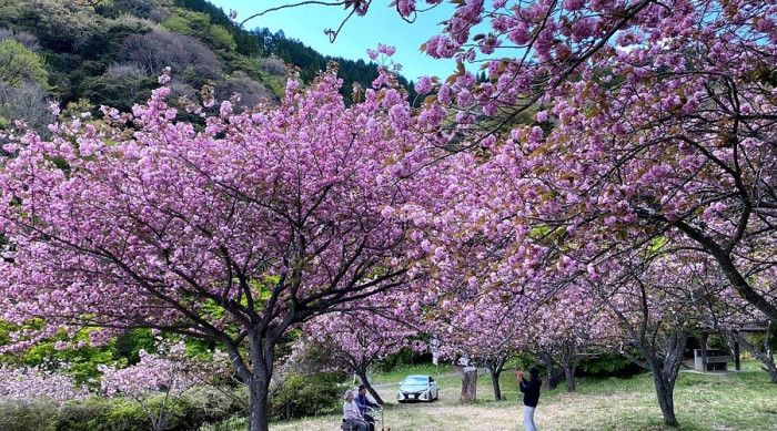 えぼし公園