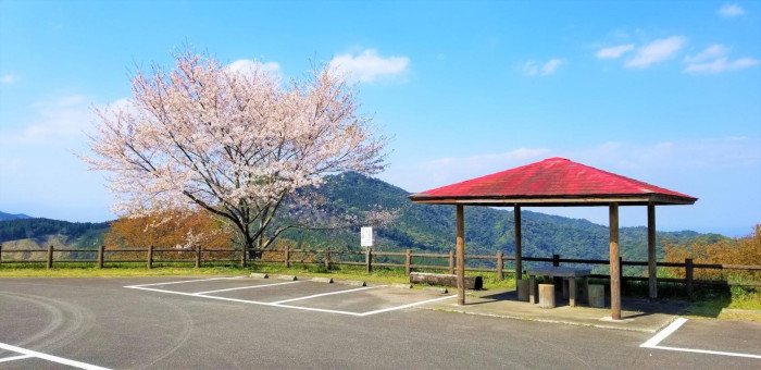 宮崎市椿山森林公園