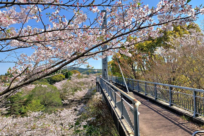 丸岡公園