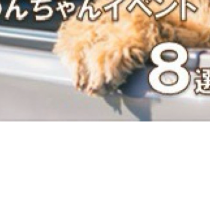 メロン