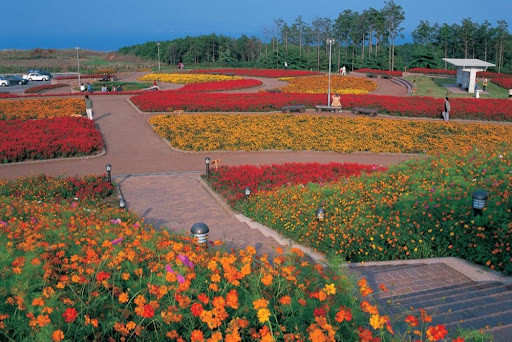 有明の森フラワー公園