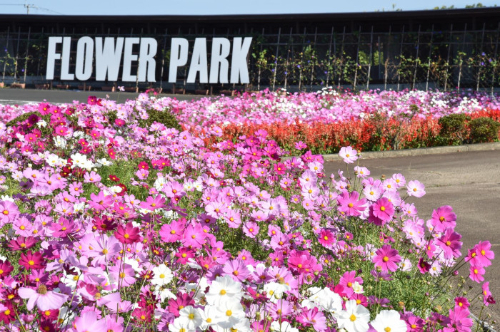 有明の森フラワー公園