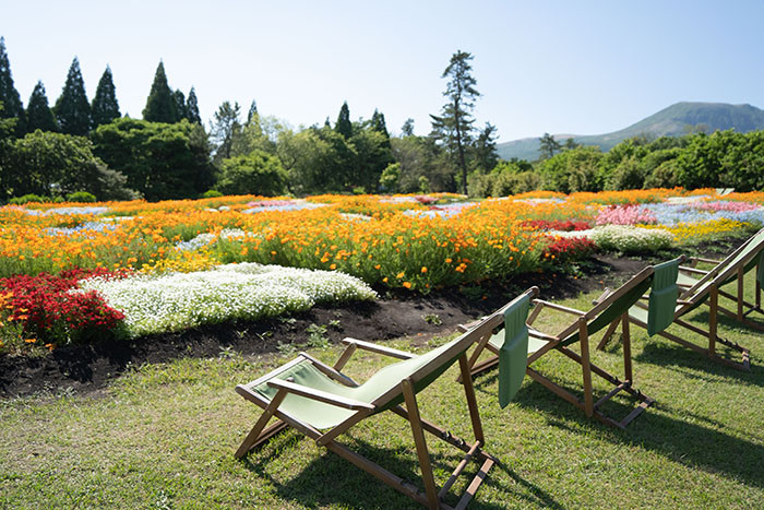 くじゅう花公園