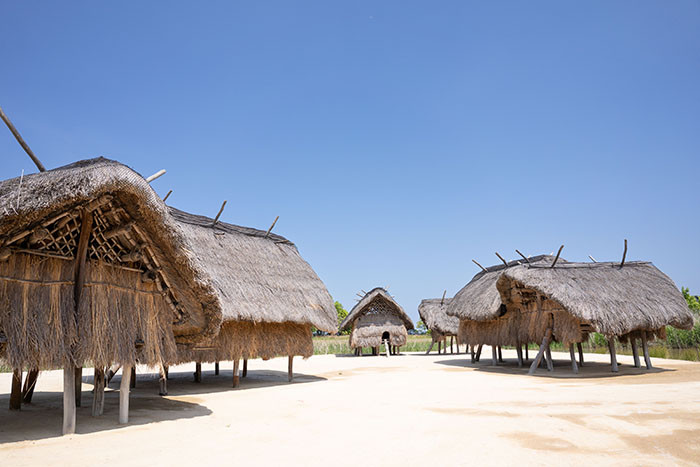 国東市歴史体験学習館 弥生のムラ安国寺集落遺跡公園