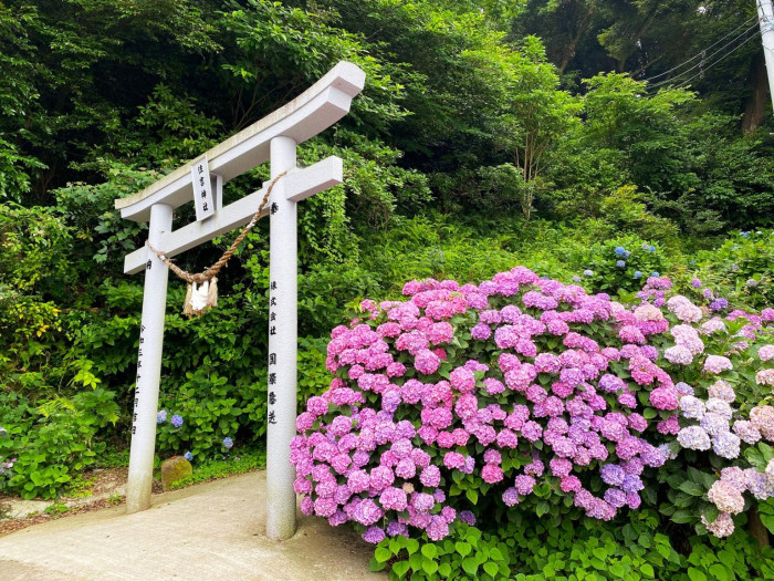 住吉自然公園