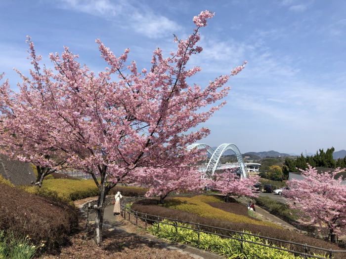 長崎県立西海橋公園