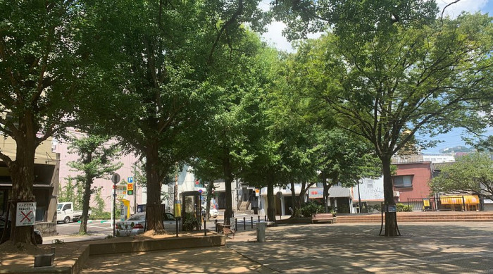 丸山公園