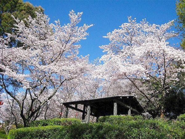 蛇ヶ谷公園