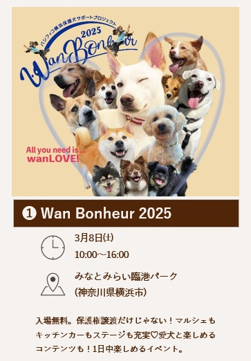 【MYPUPS】公式アカウント