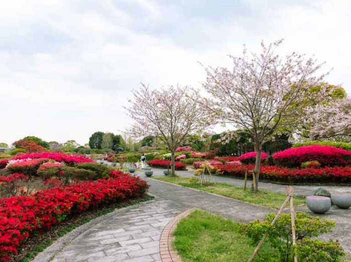 久留米百年公園