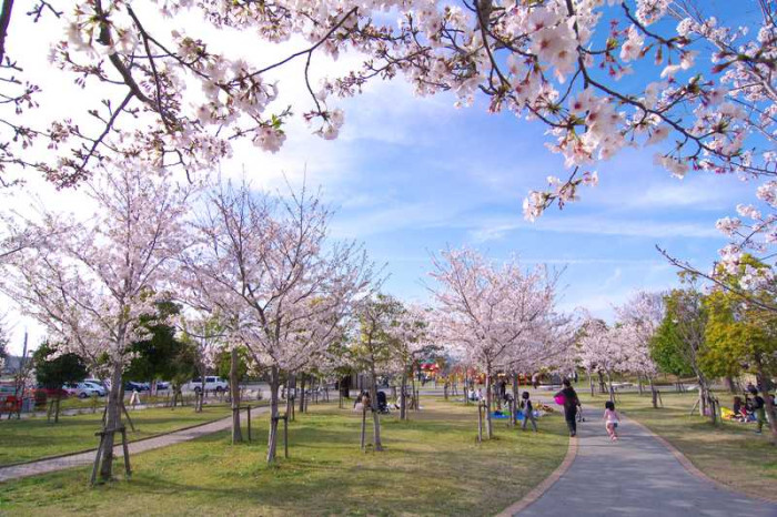 水沼の里2000年記念の森