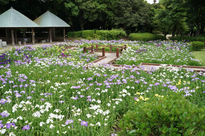福岡県営春日公園
