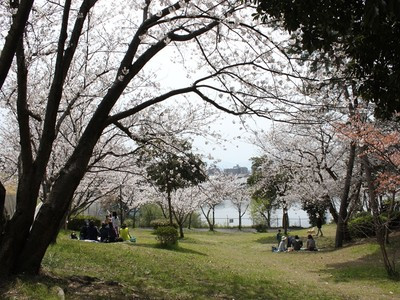 美和台中央公園