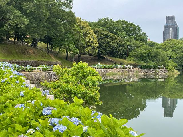 浦山公園