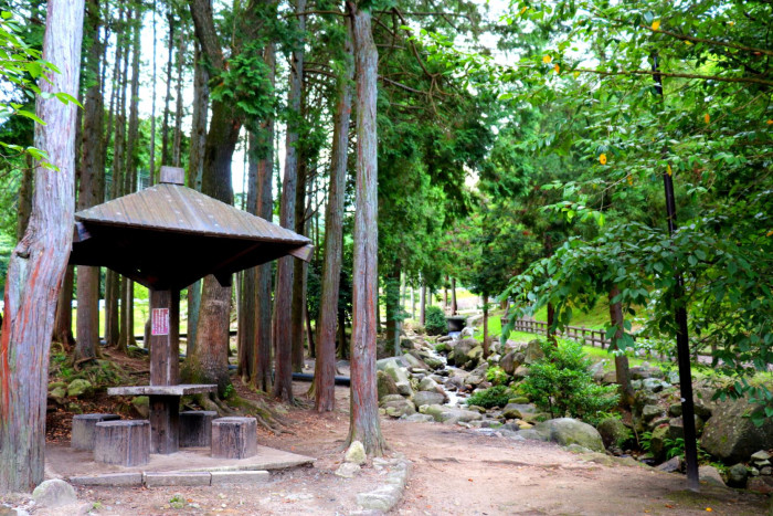 一本松公園(昭和の森)