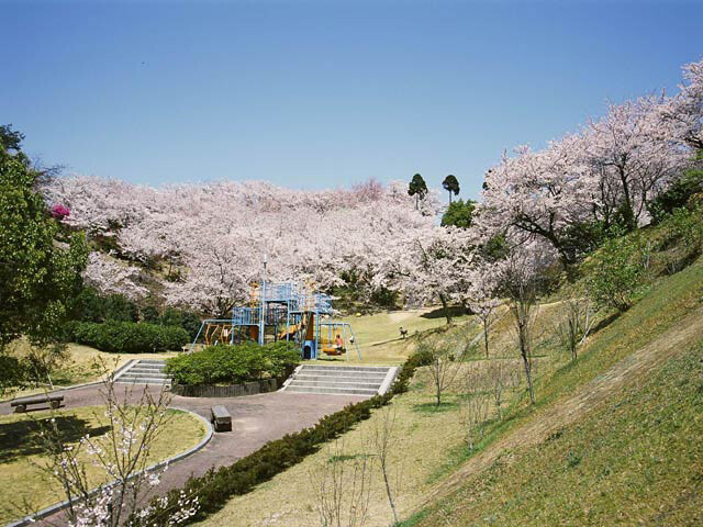開山公園
