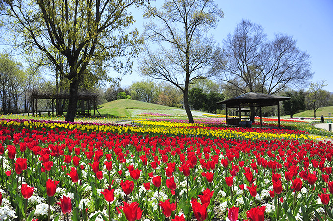 国営讃岐まんのう公園
