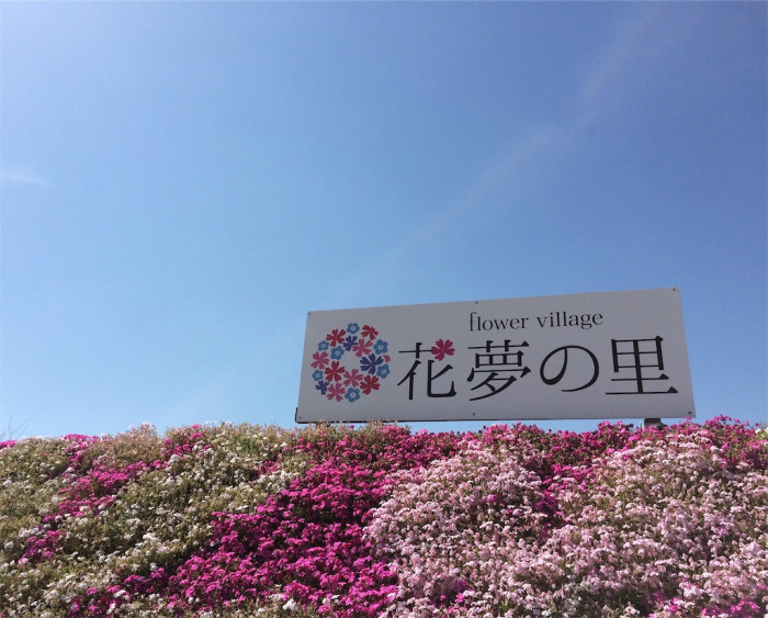 Flower village(フラワーヴィレッジ) 花夢の里