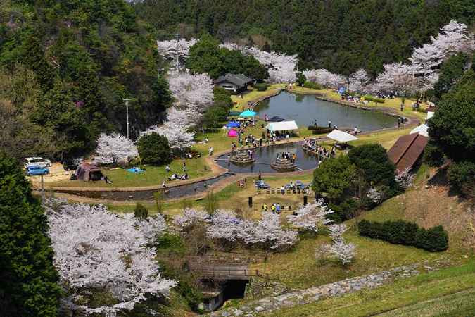 朝倉ダム湖畔緑水公園