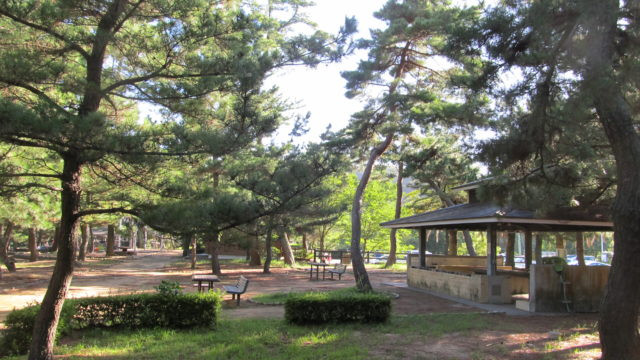 日峯大神子広域公園 こども広場