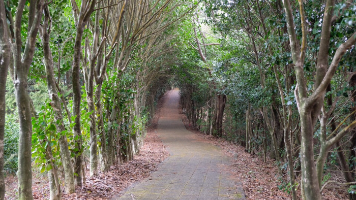塩ヶ森ふるさと公園