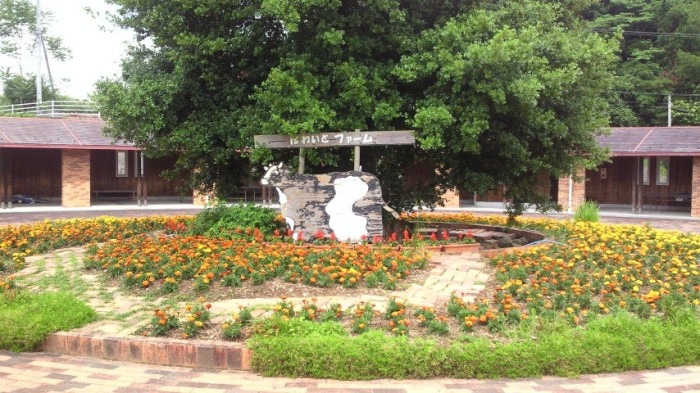 農業公園ほわいとファーム