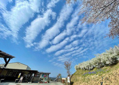 瀬戸内海国立公園 筆影山・竜王山
