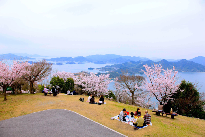 瀬戸内海国立公園 筆影山・竜王山