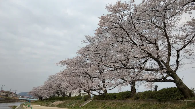 切戸川河川公園