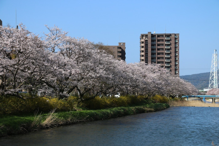 切戸川河川公園