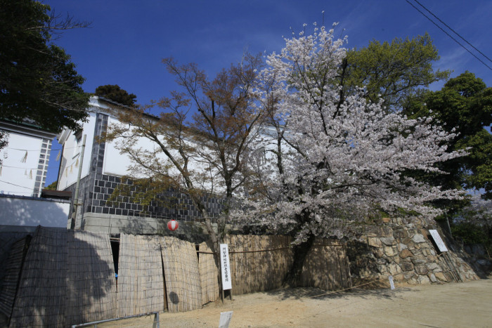 鶴形山公園