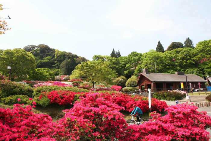 久留米森林つつじ公園