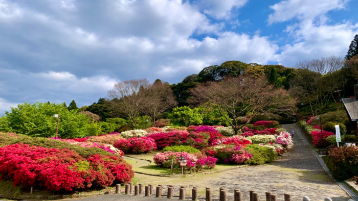 久留米森林つつじ公園