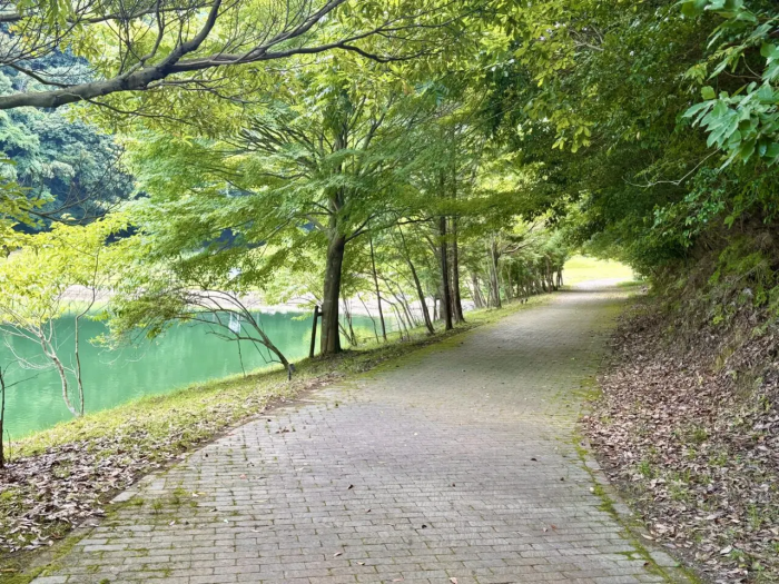 薬王寺水辺公園