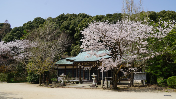 桑山公園