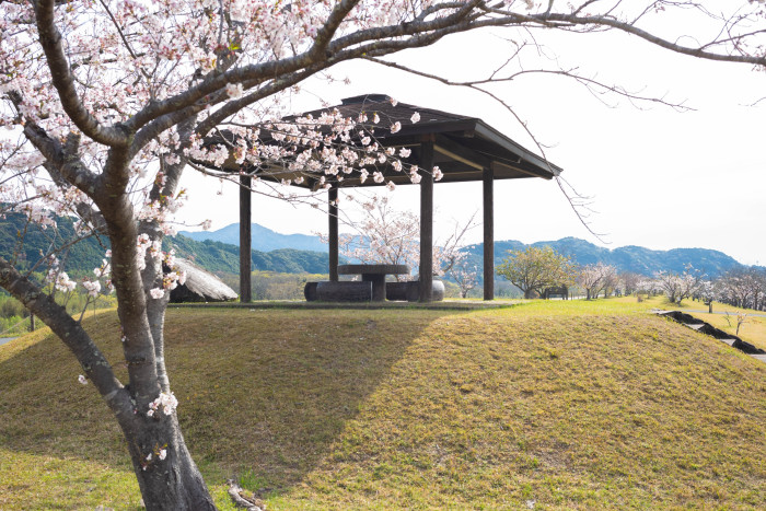 四万十川桜づつみ公園