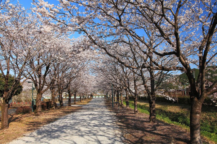 高知県立鏡野公園